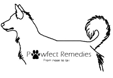 Pawfect Remedies