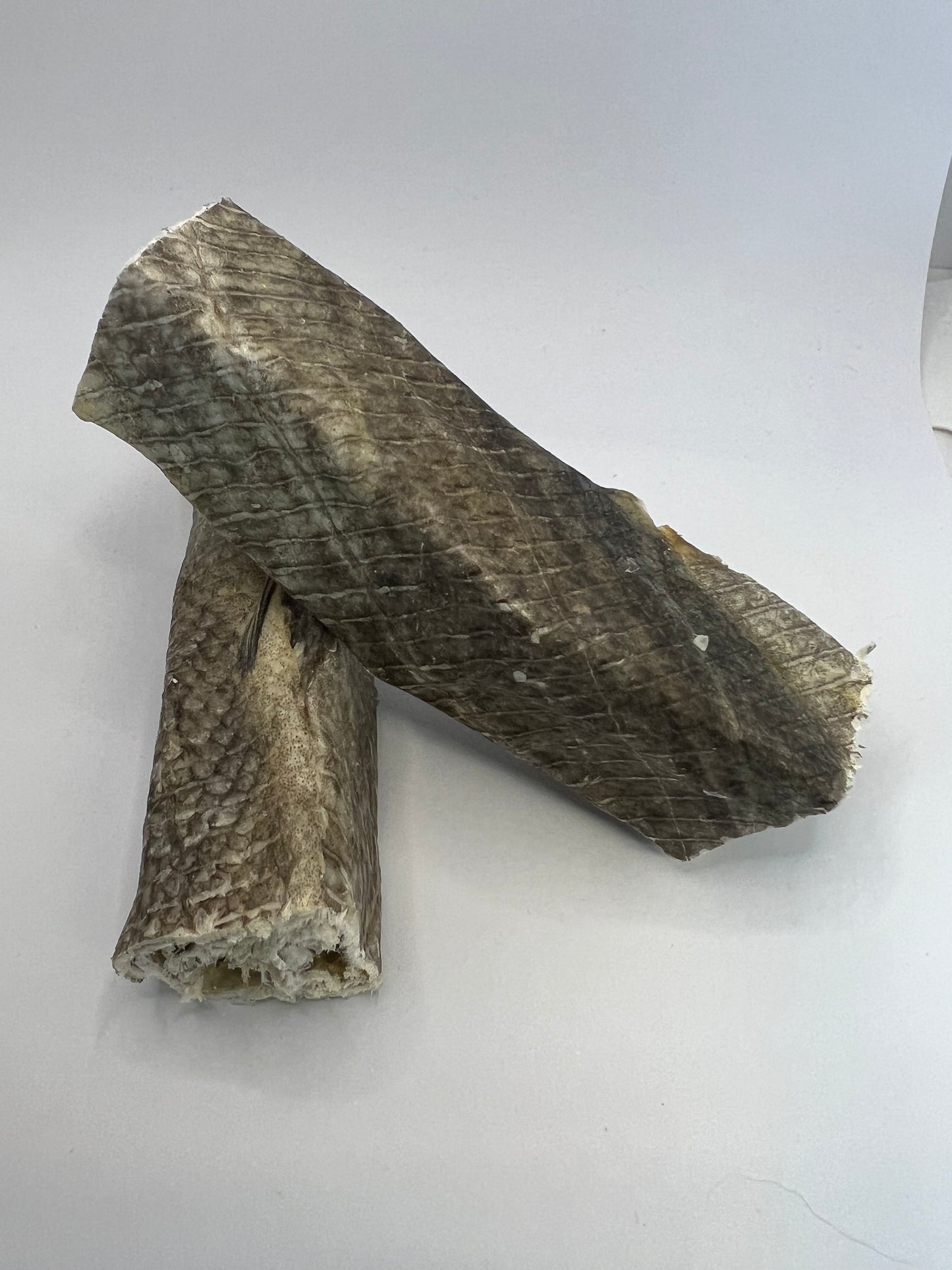 Fish throw sticks