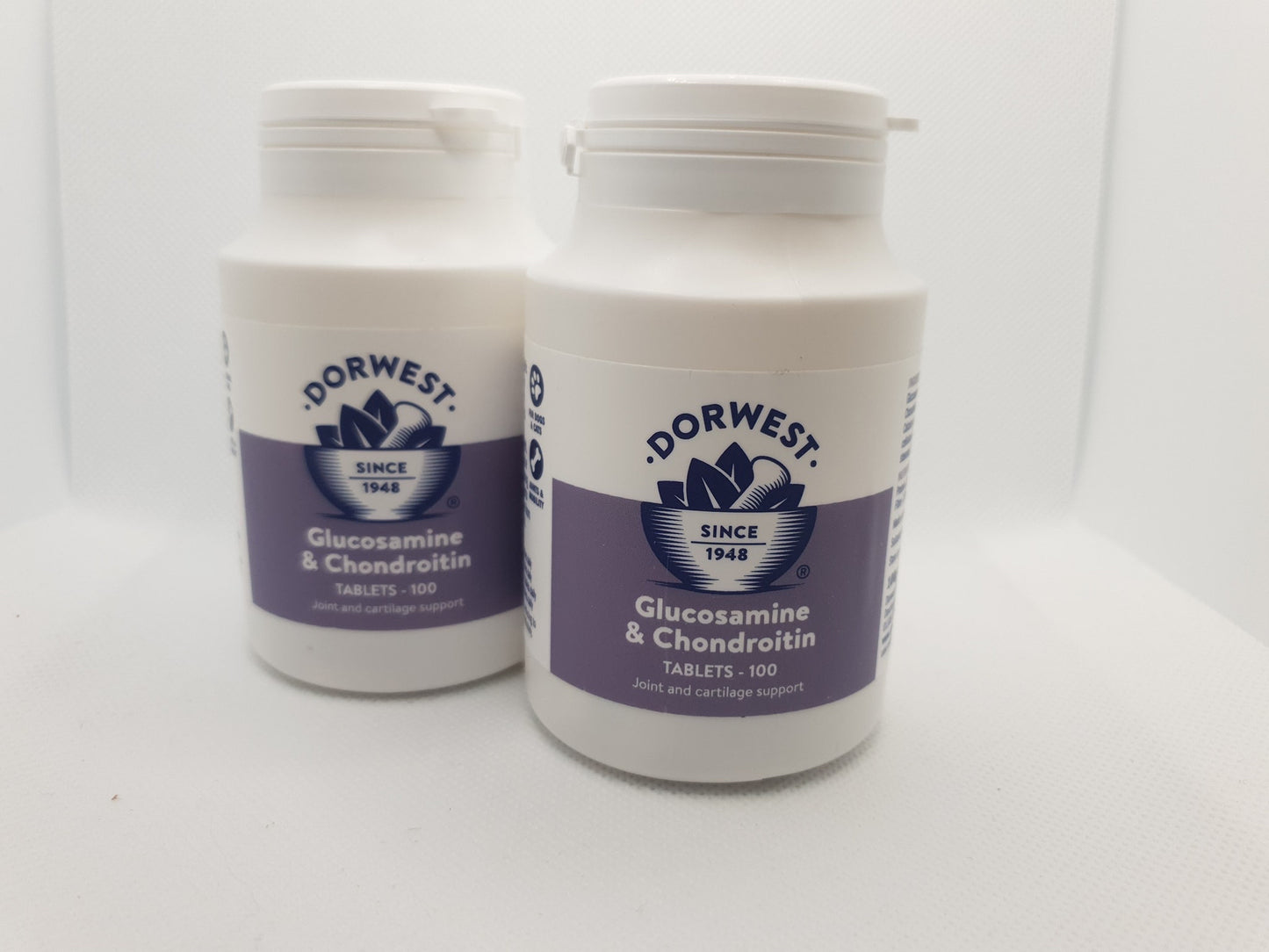 Glucosamine and chondroitin