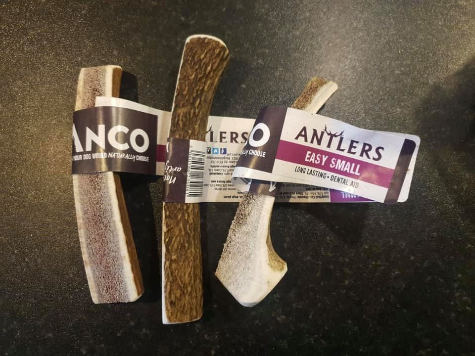 Small split antler