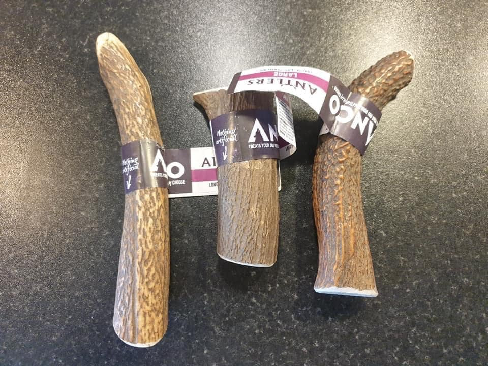 Large antler