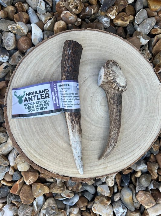 Medium antler