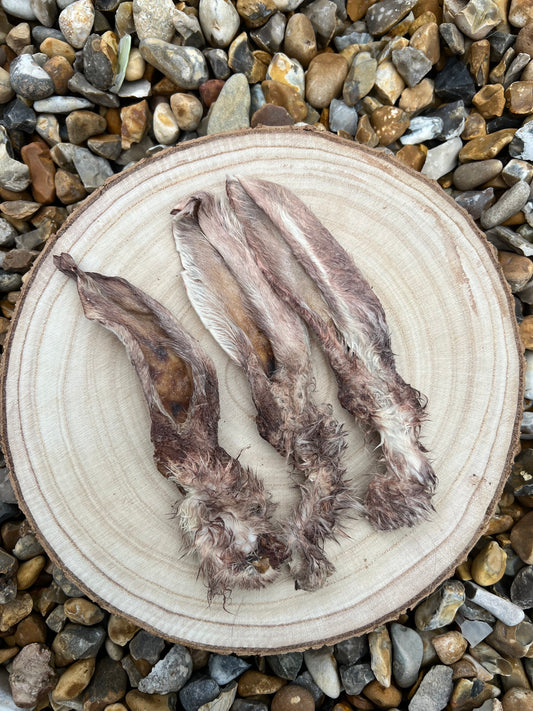 Rabbit ear