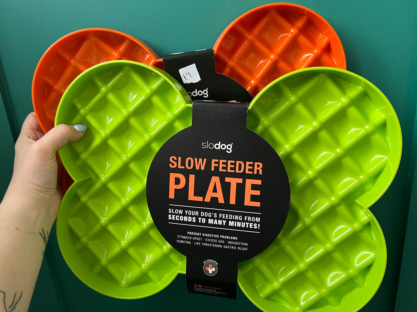 Slow feeder plate