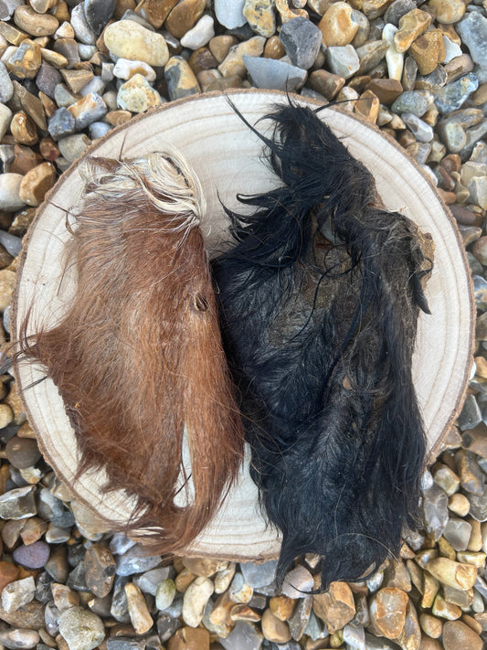 Hairy Cow ear