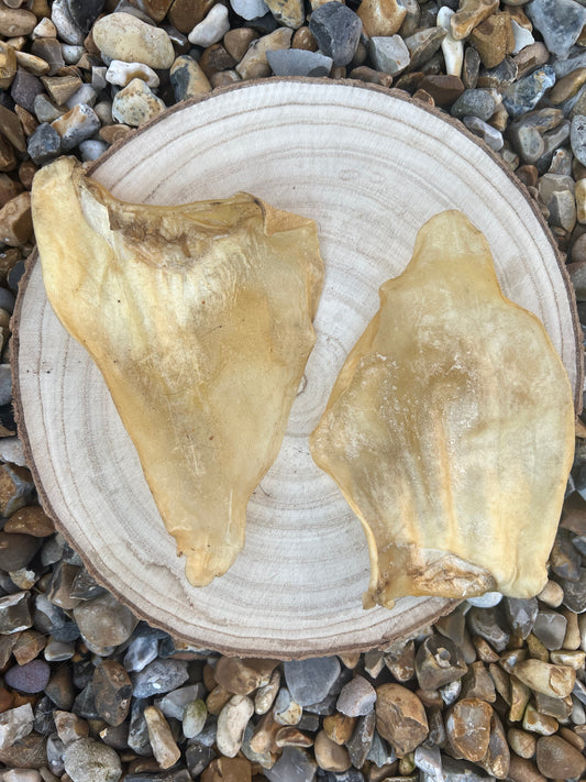 Hairless cow ear